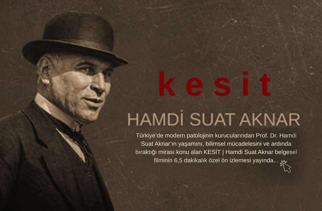patoloji,federasyon,dernekler